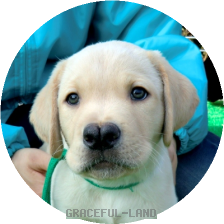 男の子グリーン